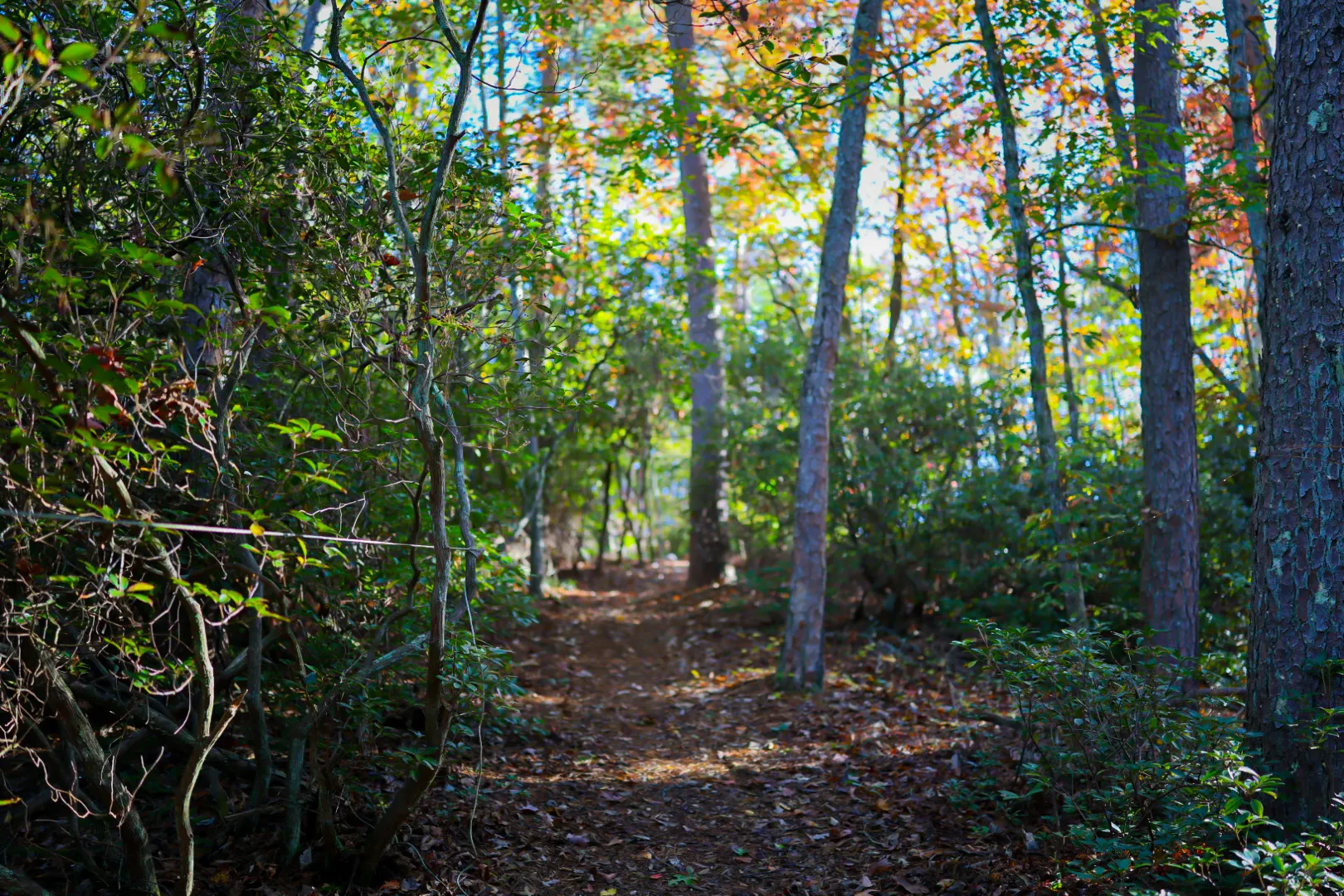 The trail has no destination. That's the point.