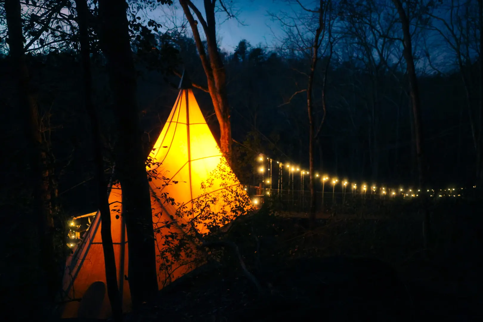Treehouse glowing at dusk