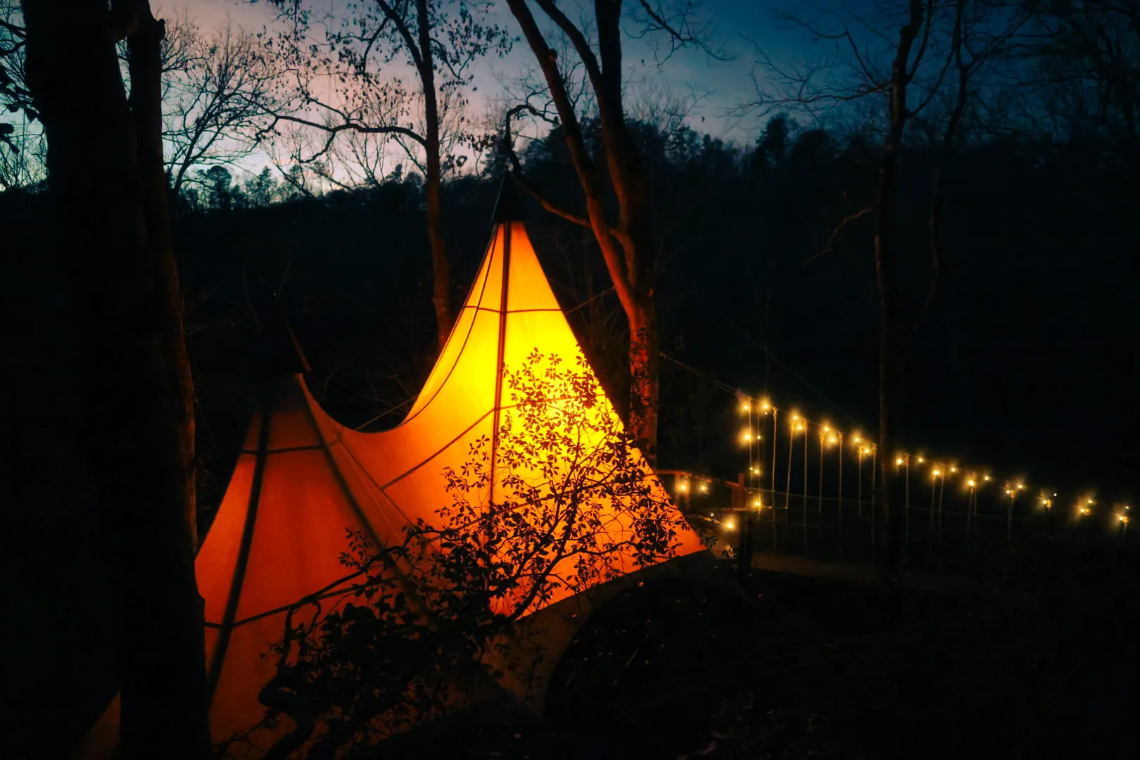 Rope bridge construction through the canopy