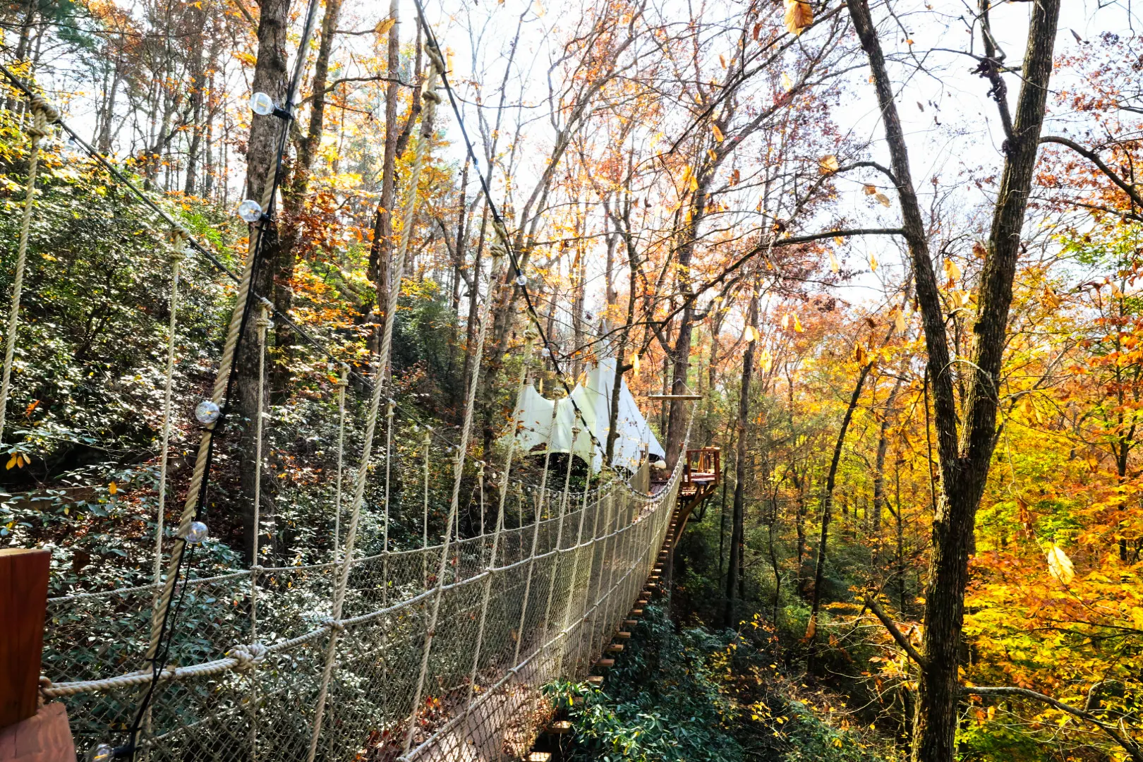 Fall bridge with string lights in daylight