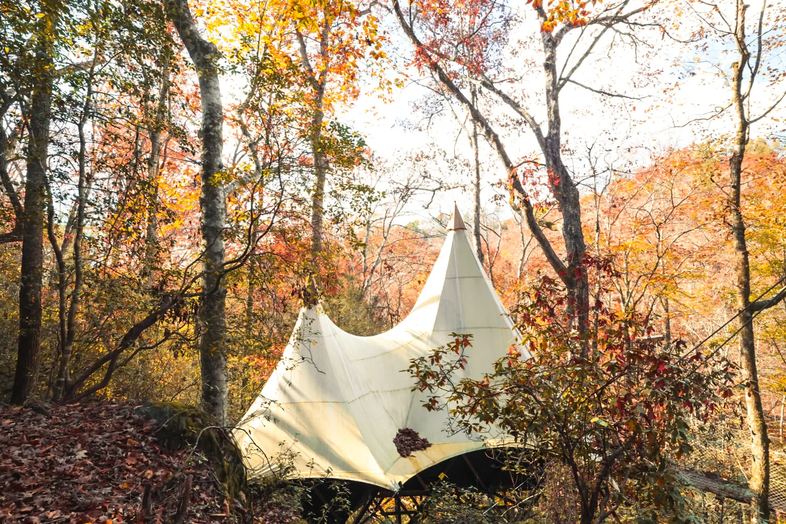 From the ground, looking up.