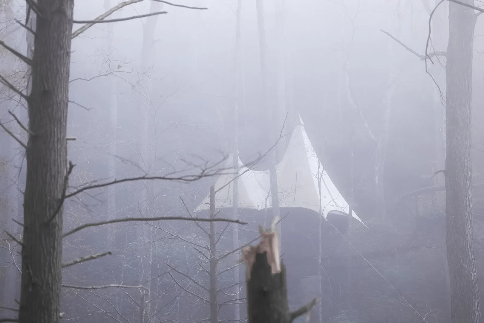 Treehouse in fog — ghost in the mist