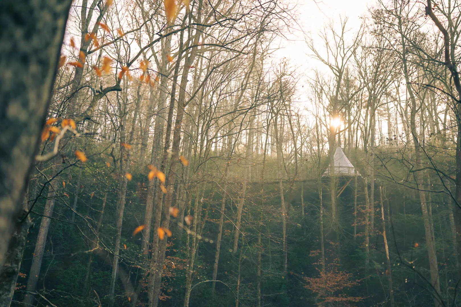 The family at Loxley Forest