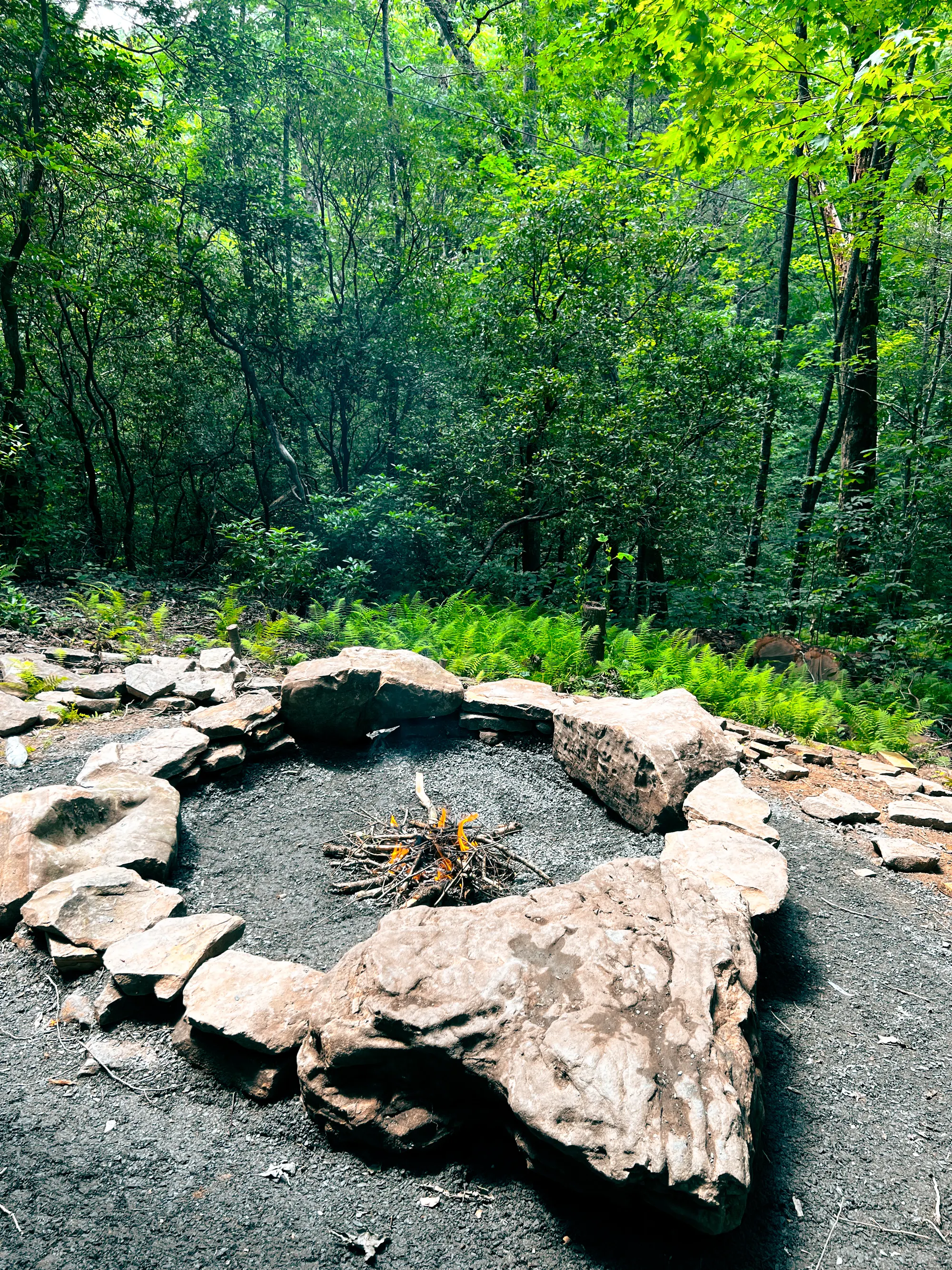 Boulder fire pit with fire and ferns