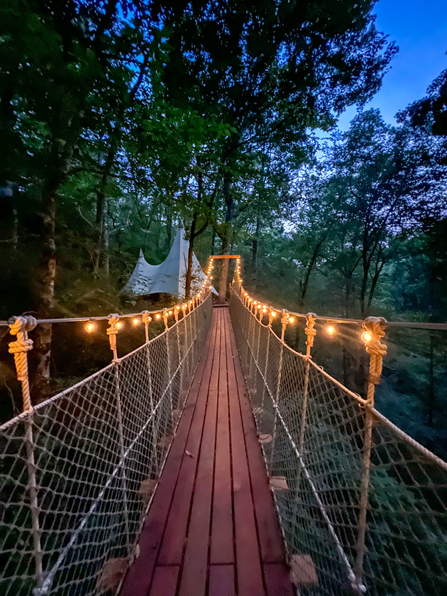 Treehouse at twilight