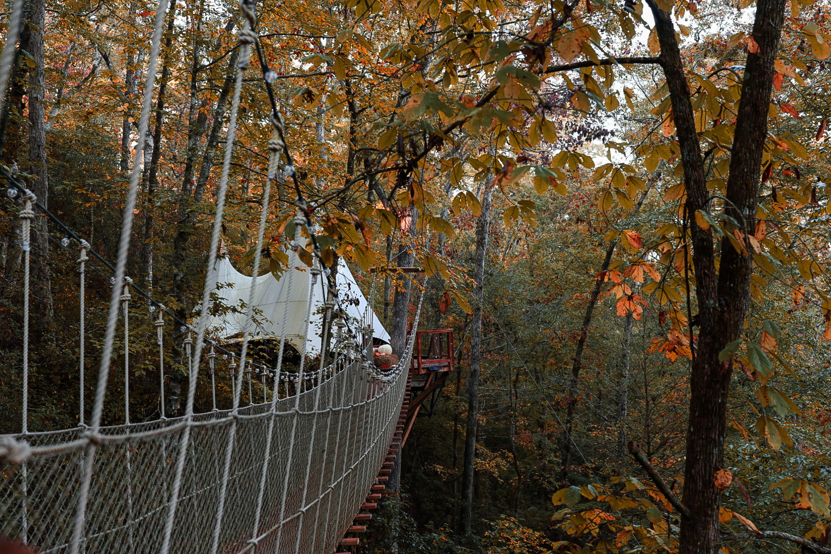 Walking the rope bridge
