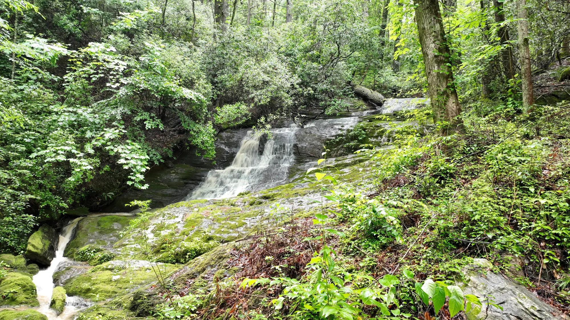 Water has been carving this valley for centuries.