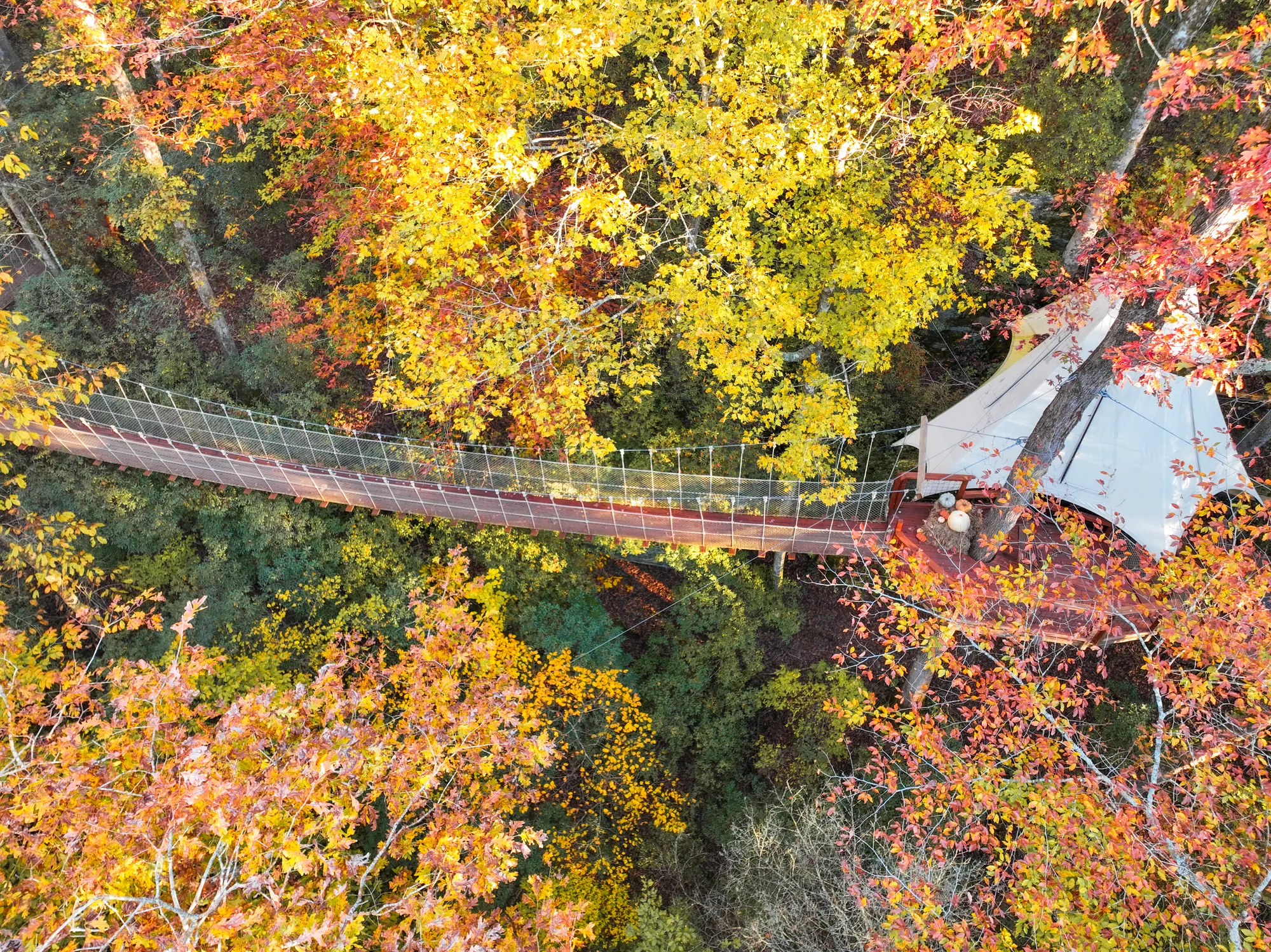 Aerial view of rope bridge at golden hour